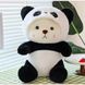 Плюшевый Медвежонок Панда в костюмчике с съемным капюшоном · Детская мягкая игрушка Мишка, 40 см