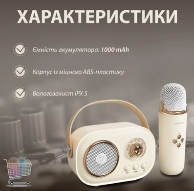 Беспроводная портативная Bluetooth колонка «RETRO» на аккумуляторе ∙ Мини-караоке ∙ Акустическая система с микрофоном