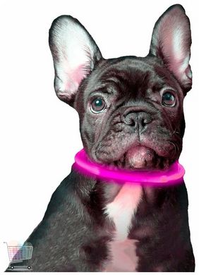 LED нашийник для собак універсальний з регульованою довжиною 10-70 см ∙ USB зарядка ∙ 3 режими свічення ошийника