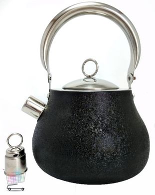 Черный чайник со свистком из нержавеющей стали BN-720, 2.7 л