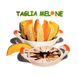 Нож для нарезки арбуза и дыни Taglia Melone A68 | арбузорезка | дынерезка PR4