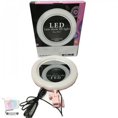 Кольцевая светодиодная LED лампа UKC Ra-95, 26 см + зеркало без штатива | Кольцевой свет
