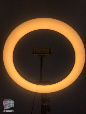 Светодиодное селфи кольцо для съемок |  Кольцевая LED лампа с пультом, 36 см