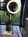 Светодиодное селфи кольцо для съемок |  Кольцевая LED лампа с пультом, 36 см
