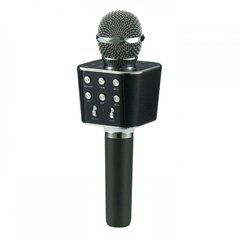 Микрофон DM Karaoke WS668 Черный CG01 PR4