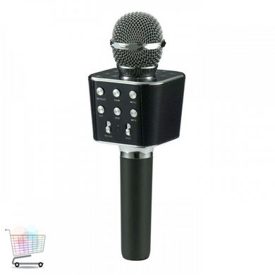 Микрофон DM Karaoke WS668 Черный CG01 PR4