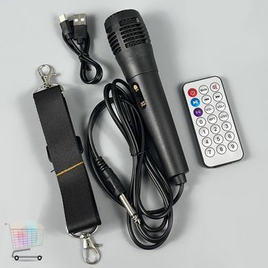 Портативна колонка караоке Sing-e ZQS4239 з мікрофоном і світломузикою &bull; Bluetooth акустика для музики, відпочинку та вечірок