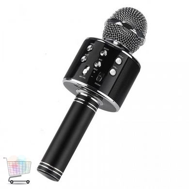 Дитячий караоке мікрофон WS858-1 ∙ USB Вluetooth колонка-мікрофон