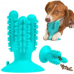 Игрушка для собак Кактус на присоске Bronzedog PetFun Dental ∙ Чистящая зубная щетка с отверстием для еды