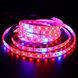 Універсальна світлодіодна лента SMD 5050 RGBW з білим та кольоровим світлом &bull; LED-стрічка SMD 5050 RGBW з RGB та White підсвіткою