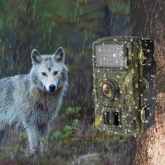 Автоматическая камера с датчиком движения DL001 ·  Фотоловушка для охотников · Видеорегистратор для охраны