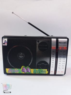 Радиоприемник аналоговый портативный Golon RX-M70 PR4