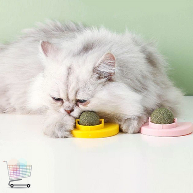 Іграшка з котячою м'ятою AND LY-757 &bull; Обертова кулька для котів Pet Toy на липучці із захисним ковпачком