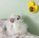 Іграшка з котячою м'ятою AND LY-757 &bull; Обертова кулька для котів Pet Toy на липучці із захисним ковпачком