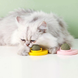 Іграшка з котячою м'ятою AND LY-757 &bull; Обертова кулька для котів Pet Toy на липучці із захисним ковпачком