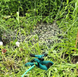 Автоматичний спринклерний зрошувач обертовий 360° дощувач для поливу газону, саду, городу