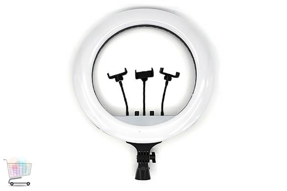 Світлодіодна лампа з пультом + сумка (RL-21) / Кільцева світлодіодна лампа для селфі 54 см