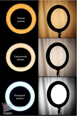 Светодиодная кольцевая LED лампа ZD-16 (40 см) | Кольцевой свет для видео и фото | Лампа для селфи без штатива