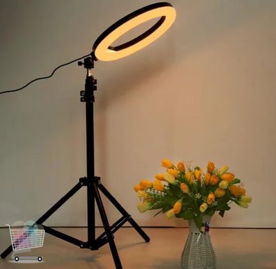 Кольцевая LED лампа Z2 (40см) + штатив | Кольцевой свет | Световая лампа кольцо