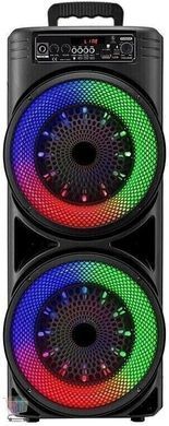 Bluetooth-колонка TTD-2807 с мощным 8-дюймовым динамиком ∙ Колонка TTD-2807 для караоке и вечеринок