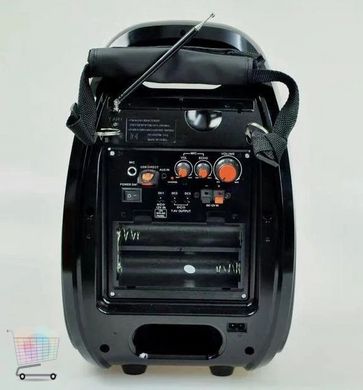 Колонка портативная акустическая система с микрофоном и FM радио BT Golon RX 810