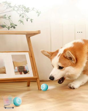 Интерактивный мячик Pet Gravity для кошек и собак · Смарт-игрушка Убегающий шарик с хаотичным движением · USB зарядка
